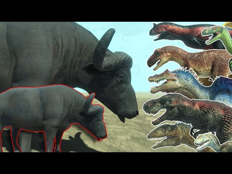 Family Cape Buffalo VS ALL DINOSAURS - ANIMAL REVOLT BATTLE SIMULATOR