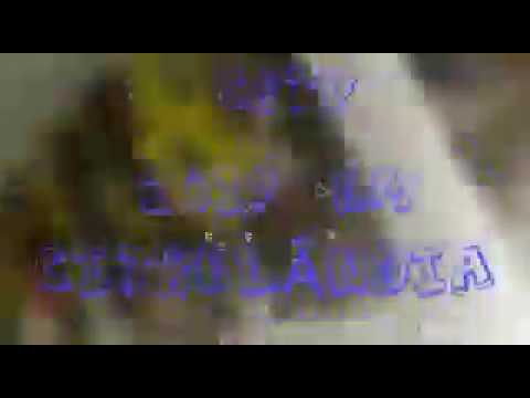 COMUNIDADE BATISTA TRANSFORMANDO VIDAS