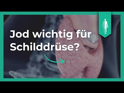 Jod für die Schilddrüse? Das solltest Du wissen! Nährstoffe | Kyra Kauffmann