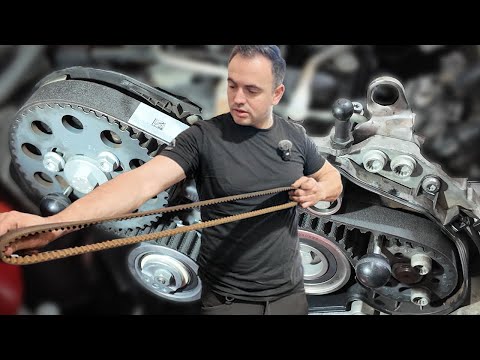 Audi A1 - 1.6 TDI 77KW/105PS - Timing belt replacement including water pump - Audi, VW, Skoda, Seat