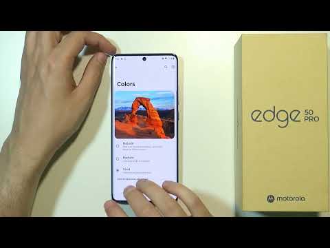 How to Change Screen Colors on Motorola Edge 50 Pro