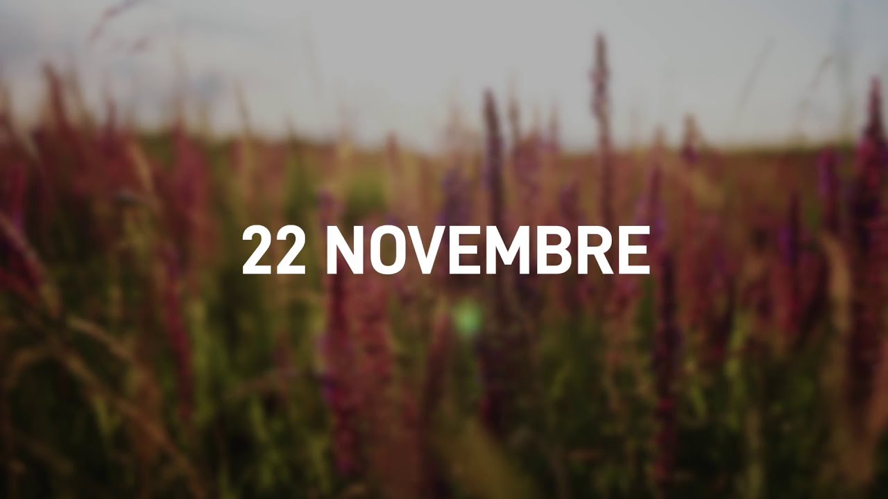 22 Novembre 2025 | Meditazione Parole di Vita