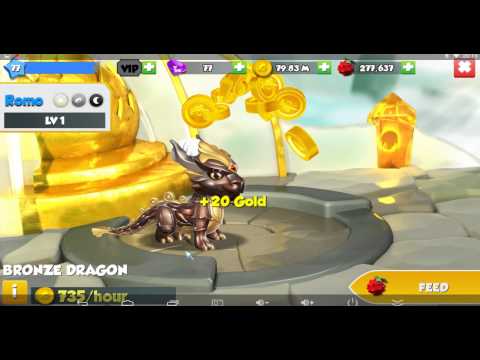 Hatching BRONZE Dragon-DML