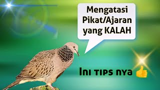 Download lagu OVERCOMING THE LOST MEASUREMENT (LOSING LESSON) || Treatment for losing lessons on the page mp3 Download lagu OVERCOMING THE LOST MEASUREMENT (LOSING LESSON) || Treatment for losing lessons on the page mp3