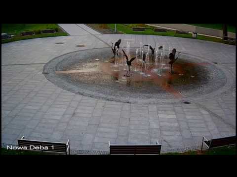 Lasowiak TV – transmisja na żywo