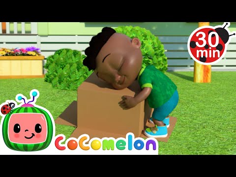 This Box Rocks! | Singalong with Cody! CoComelon Kids Songs