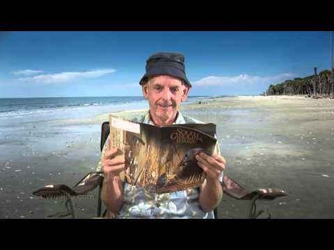 download lagu mp3 mp4 South Carolina Wildlife Magazine Subscription, download lagu South Carolina Wildlife Magazine Subscription gratis, unduh video klip South Carolina Wildlife Magazine Subscription