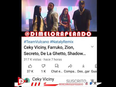 Ceky Viciny, Farruko, Zion, Secreto, De La Ghetto, Shadow Blow, Yailin, La Perversa - NATALY REMIX