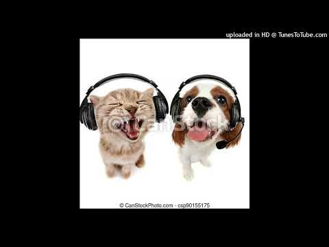 Demoncandy & 22rocky - Cane & Gatto (prod. 22rocky)