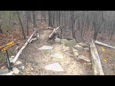 Smoky Mountain Visions