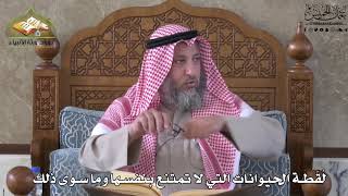 695 - لُقطة الحيوانات التي لا تمتنع بنفسها وما سوى ذلك - عثمان الخميس