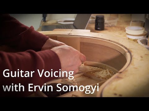 Guitar Voicing with Ervin Somogyi