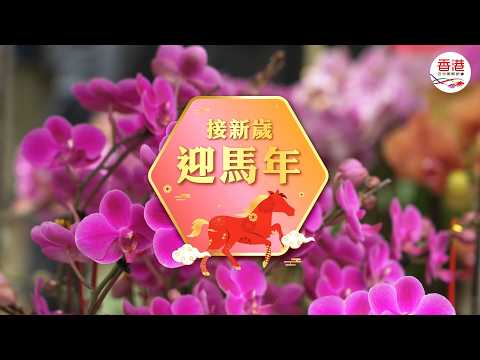接新歲　迎馬年