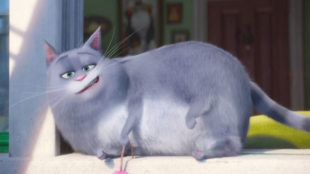 動画 永作博美 アニメ声優初挑戦 米映画 ペット で猫役 映画 ペット 吹替え版特別映像 毎日キレイ 動画 永作博美 アニメ声優初挑戦 米映画 ペット で猫役 映画 ペット 吹替え版特別映像 毎日キレイ