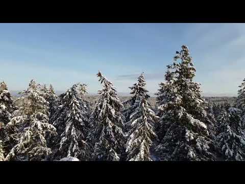 Pacific Northwest Winter 2023 DRONE Video #drone #pnw #winter #white #2023 #beautiful #sunset