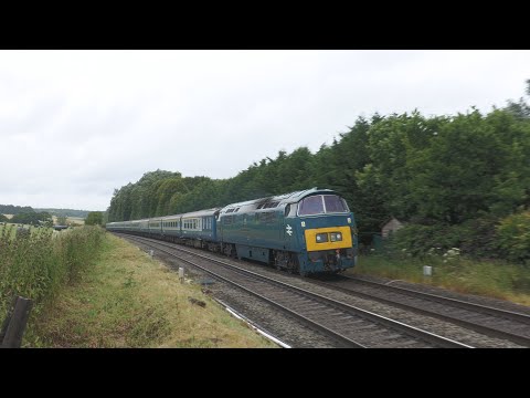 D1015 'Western Champion' Runs SOLO! - Classic Traction Over Savernake - 6/7/24
