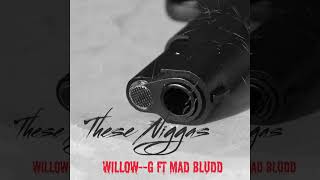 Mad Bludd &amp; Willow--G - These Niggas (Radio Edit) Hip-Hop/Rap/Dancehall July 2022
