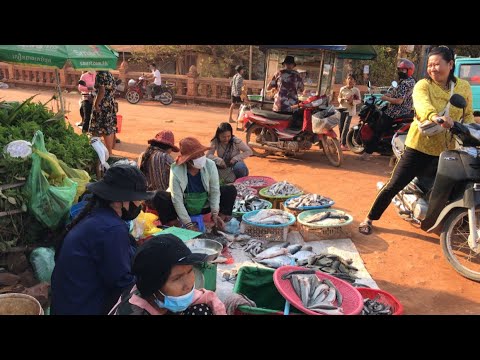 Cambodian Wet Market Food Scenes - River Fish, Vegetables, People Activities & Food. #tourwithjj