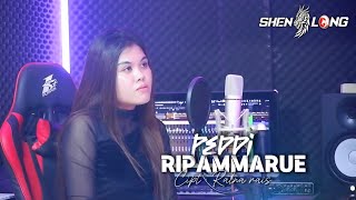 Download lagu PEDDI RIPAMMARUE || ANHY NOSE || CIPT : RATNA RAIS || Shenlong Musik (Cover musik video ) mp3