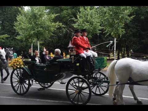 2019 0714 SF Dü Schützenzug Maximilian Wehye Allee