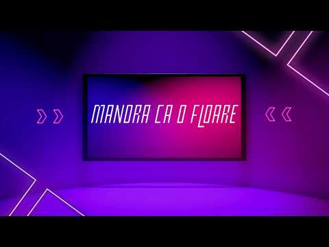 Clanker Jones X Axwell X Ingrosso - Mandra ca o floare (Remix)