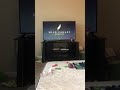 Wild Canary Animation Disney Junior Logo 2017 Shorts