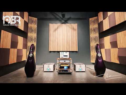 Hi-Res Audio Explained: The Best Formats for Audiophile Systems