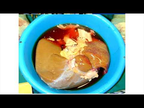 Oxford University surgical lectures: Cricket to clinic via the lab