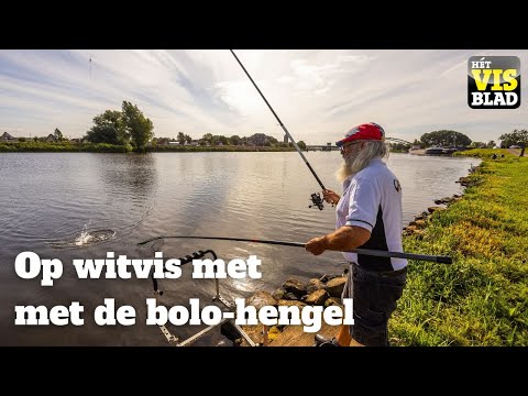 VISblad TV: whitefishing with the bolo rod