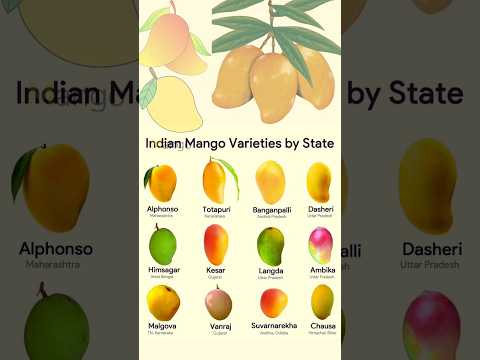 Indian Mango 🥭 varieties by State|Mango varieties in India |Types of mangoes #shorts #mango