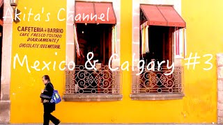 【Mexico #3】Day 3 Pátzcuaro メキシコ3日目　パツクアロ、メキシコ＆カルガリー２週間の旅。おっさんのドイツ生活【Akita's Travel】