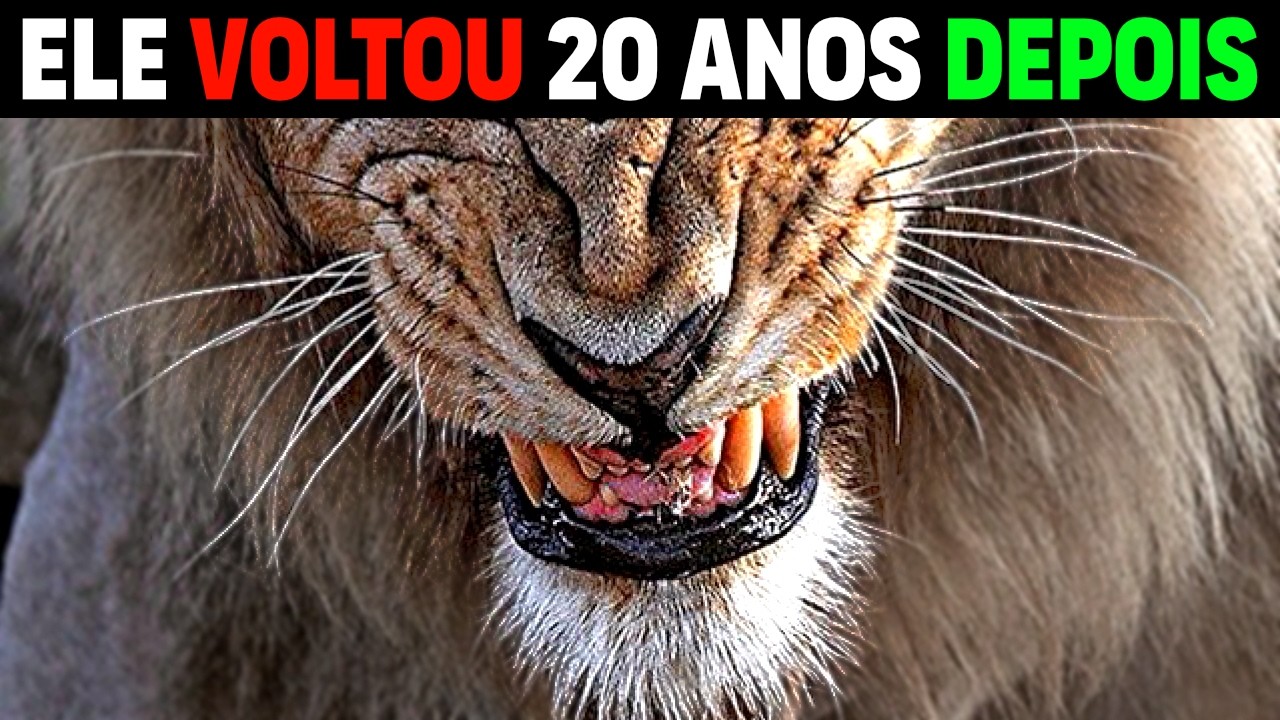 Leo - HUNGRY OSAMA returns 20 years later and devours 23 people