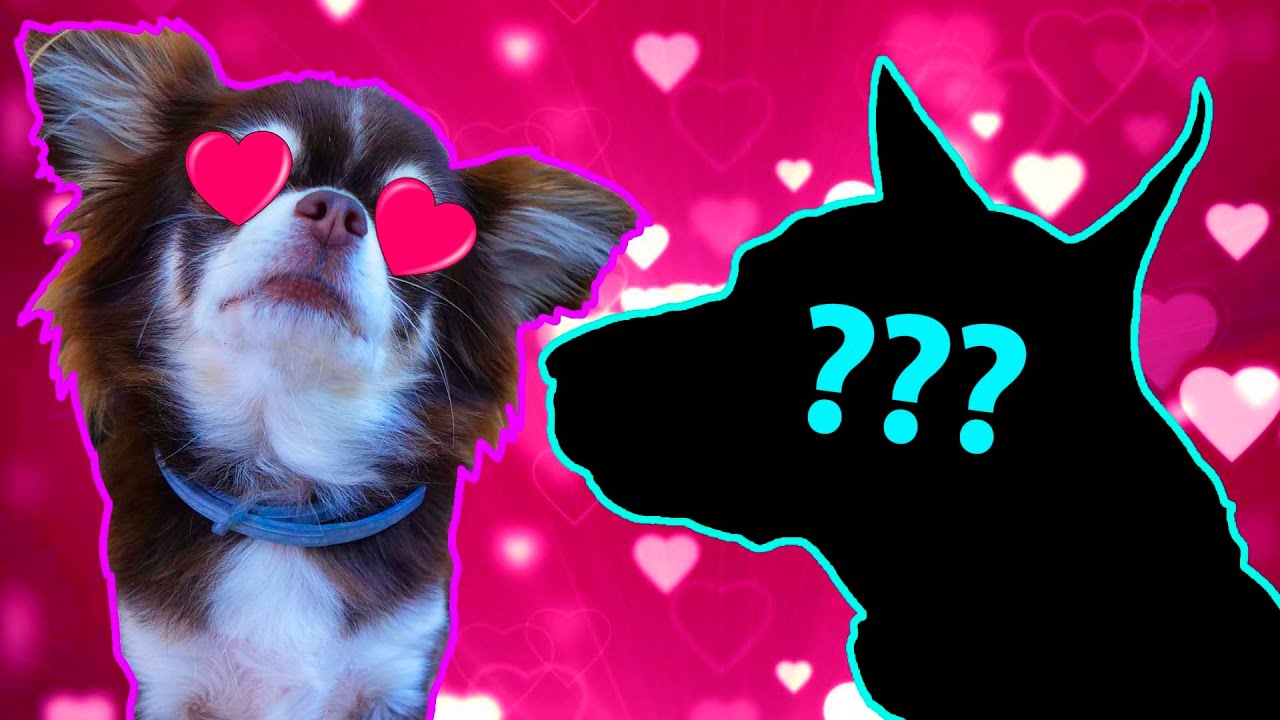 КОРОЧЕ ГОВОРЯ, МОЙ ПАРЕНЬ ...