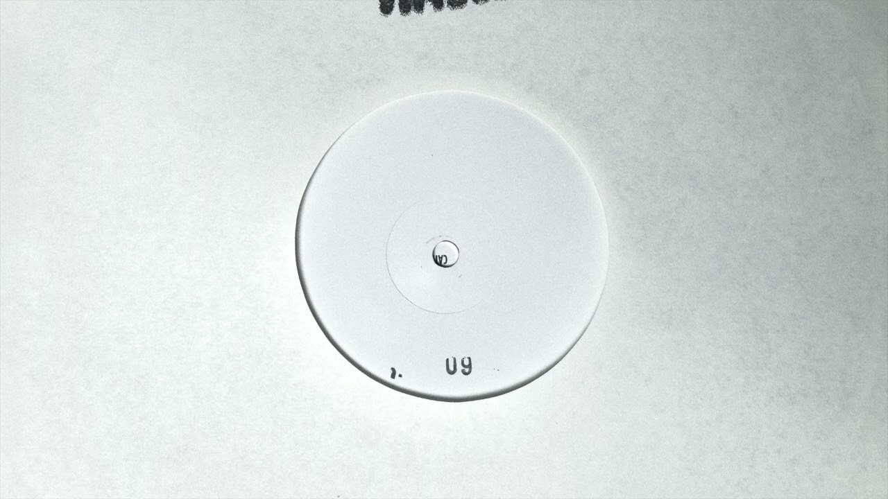 Inner Lakes – Alternate Realities