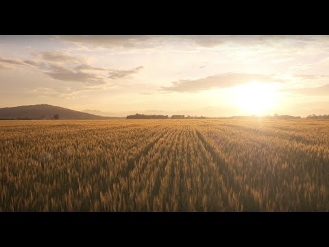 download lagu mp3 mp4 Indigo Mission And Vision, download lagu Indigo Mission And Vision gratis, unduh video klip Indigo Mission And Vision