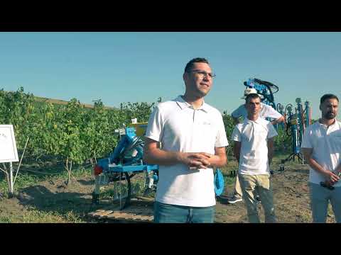 Da Bacco - Strunga, Iași (19 august 2022)