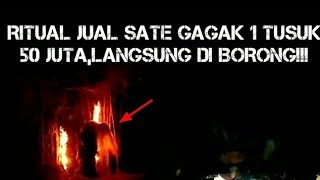 Download lagu Jual Sate Gagak Di Tempat Angker #JualSateGagak #viraljualsategagak #balikpapanmisteri mp3 Download lagu Jual Sate Gagak Di Tempat Angker #JualSateGagak #viraljualsategagak #balikpapanmisteri mp3