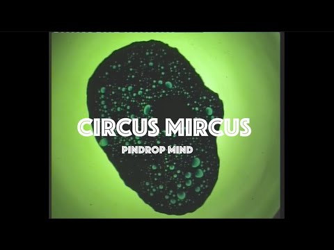 Circus Mircus - Pin-Drop Mind