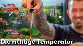 Miniatura filmu z YouTube