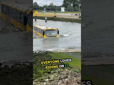 The Bus Driver Drove the Bus Straight into the River #shorts
