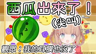 [閒聊] 茸茸鼠玩西瓜遊戲 觀眾耳膜..