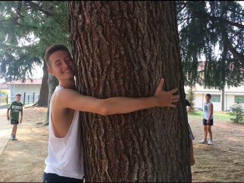 In memoria di Francesco Bassi