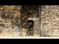 Family Fodder - The Pain Won't Go (Official Video) - FamilyFodderTV Family Fodder - The Pain Won't Go (Official Video)