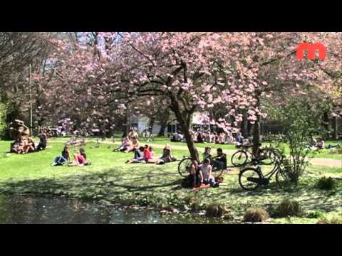 Nieuws en Actualiteiten van woensdag 15 april 2015