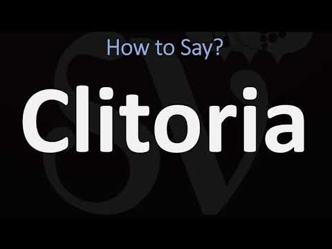How to Pronounce Clitoria? (CORRECTLY)