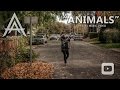 All Aboard Animals Official Music Video