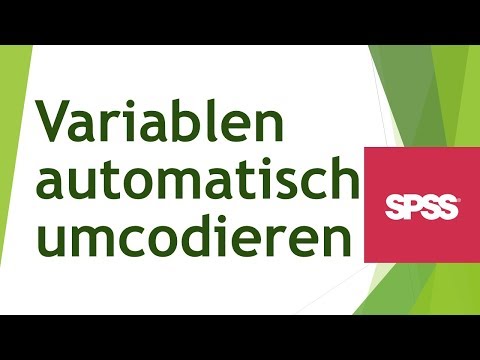 Variablen automatisch umcodieren in SPSS - Daten analysieren in SPSS (46)