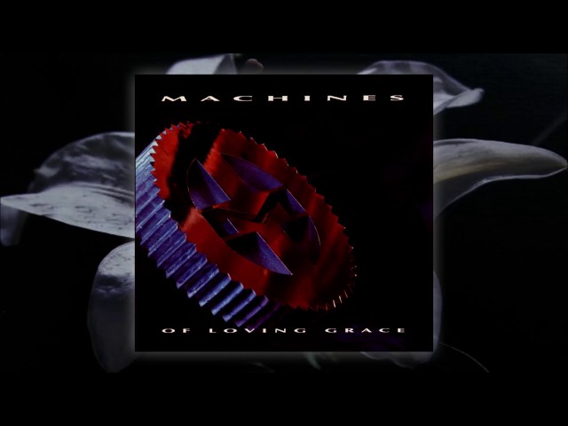 Machines of Loving Grace