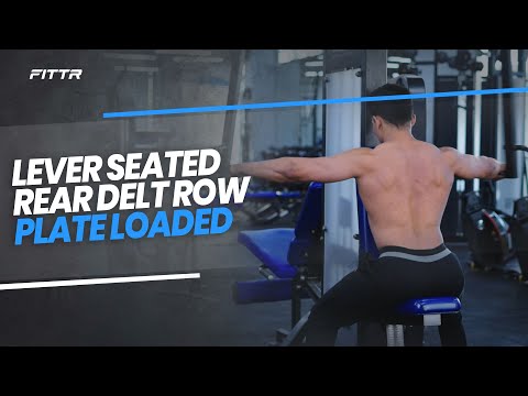 Lever Seated Rear Delt Row (plate loaded)