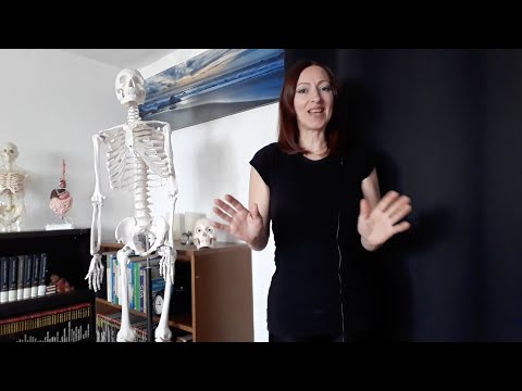 Anatomia. Concetti e Termini di Base. Parte II